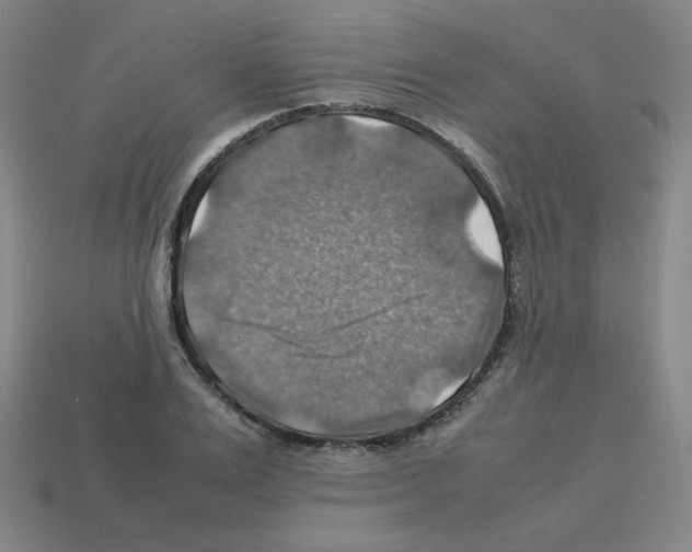 X0000112770983200910011232