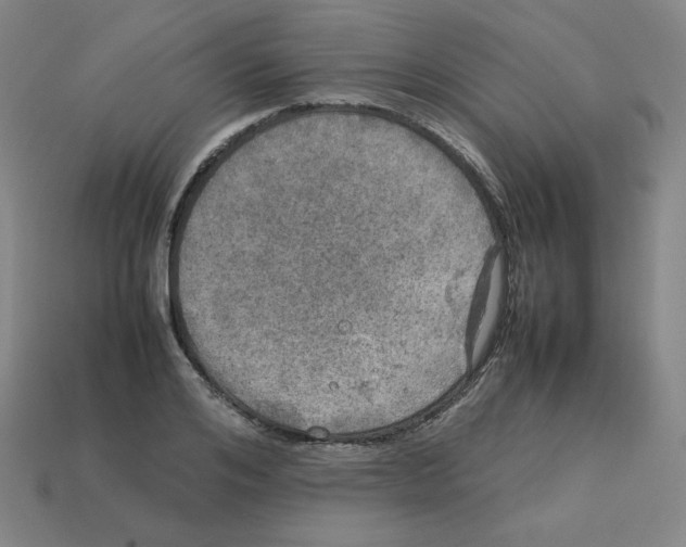 X0000112770984200910011232