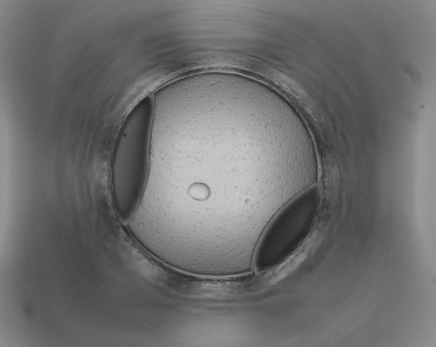 X0000112770985200910011232