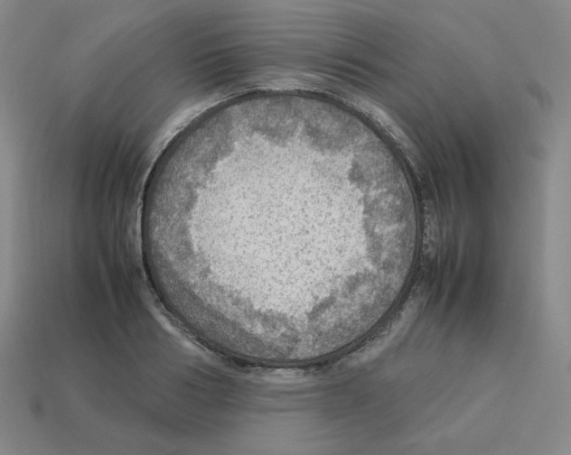 X0000112770986200910011232