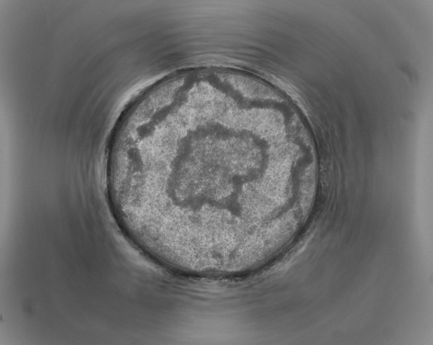 X0000112770987200910011232