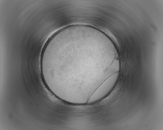 X0000112770988200910011232