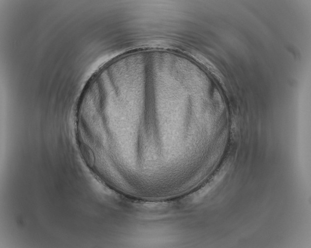 X0000112770989200910011232