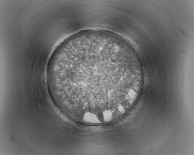 X0000112770990200910011232