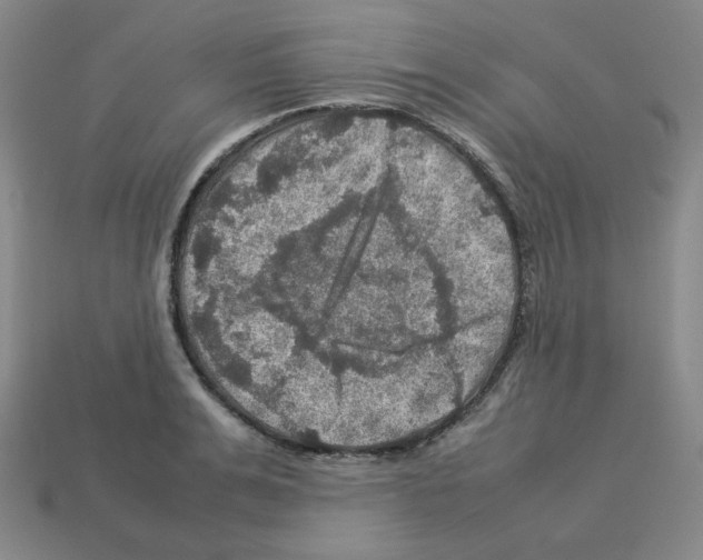 X0000112770991200910011232