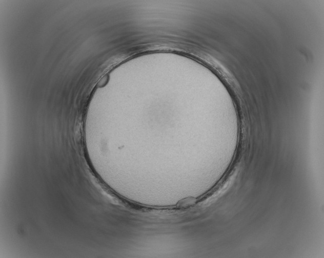 X0000112770993200910011232