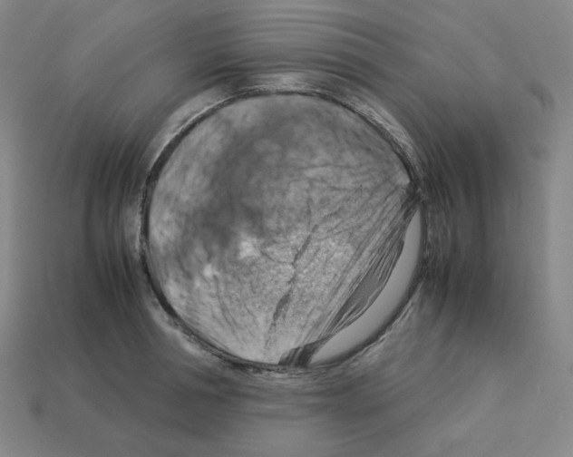 X0000112770994200910011232