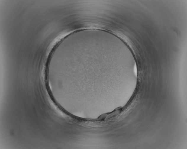 X0000112770995200910011232