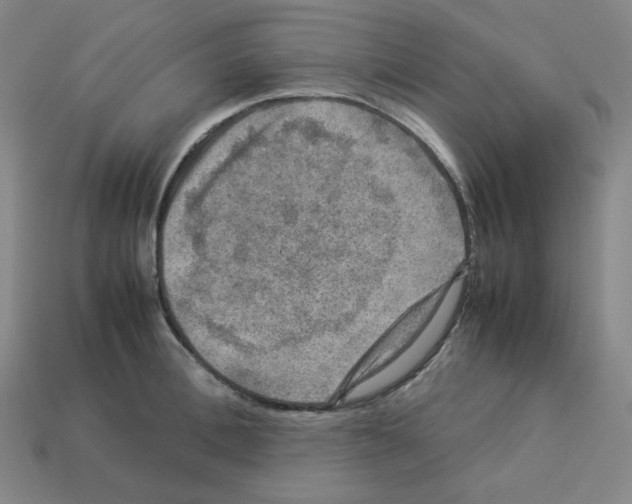 X0000112770996200910011232