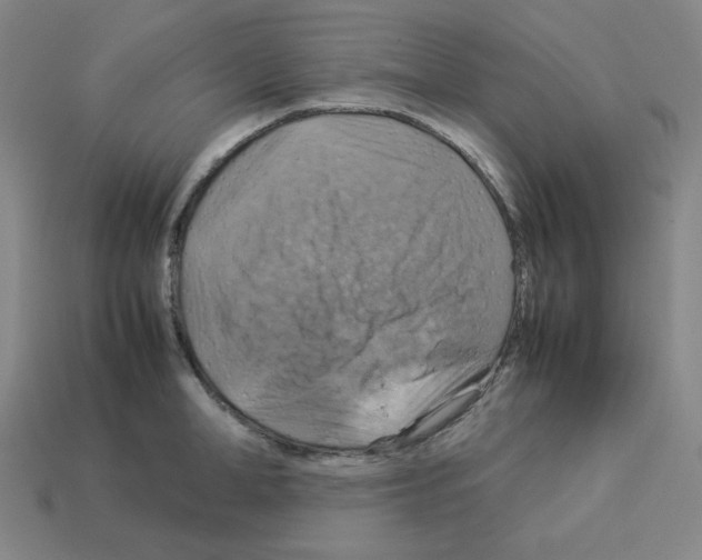 X0000112770998200910011232