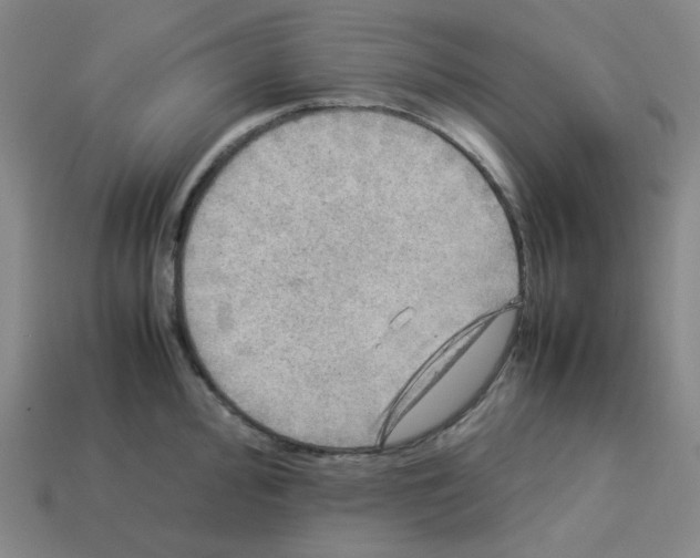 X0000112771000200910011232