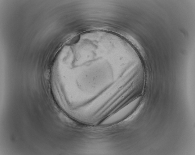 X0000112771001200910011232