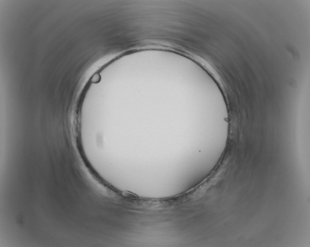 X0000112771003200910011232