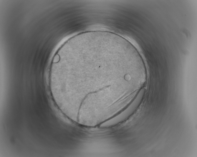 X0000112771008200910011232