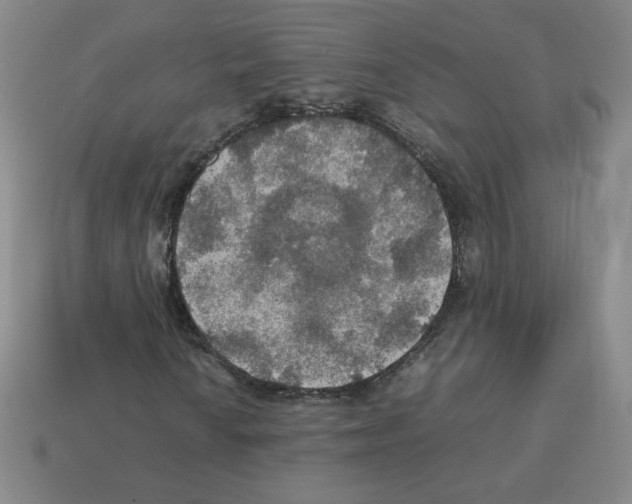 X0000112771010200910011232