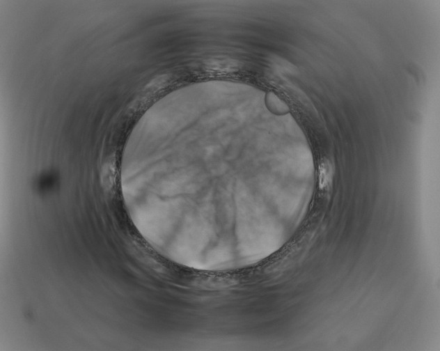 X0000112771011200910011232