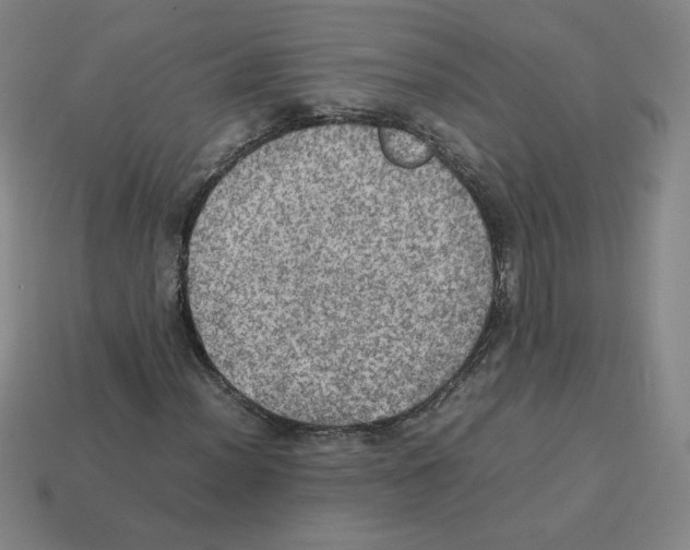 X0000112771012200910011232