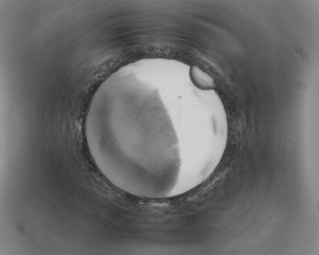 X0000112771013200910011232