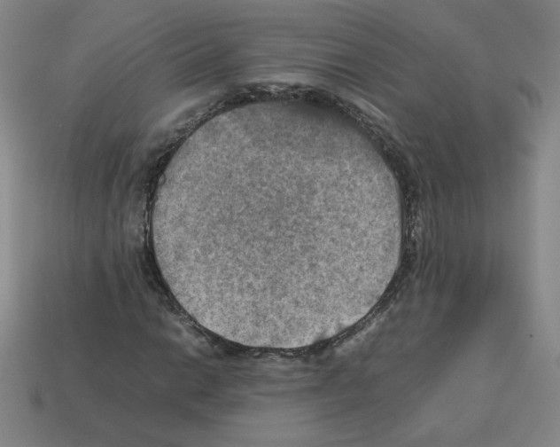 X0000112771014200910011232