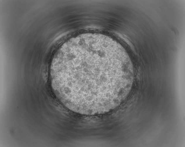 X0000112771015200910011232