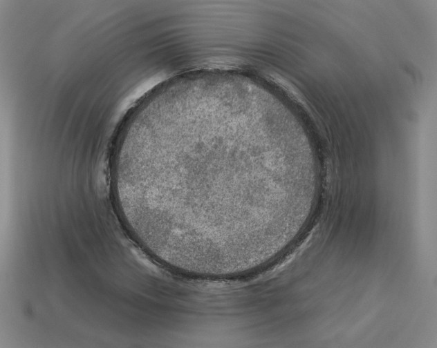 X0000112771018200910011232