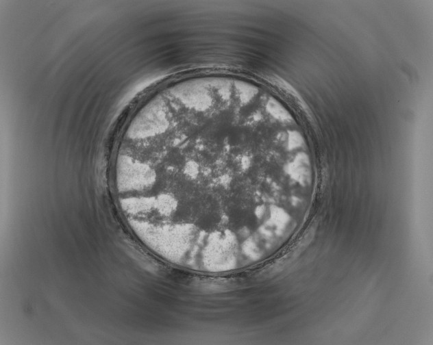 X0000112771019200910011232