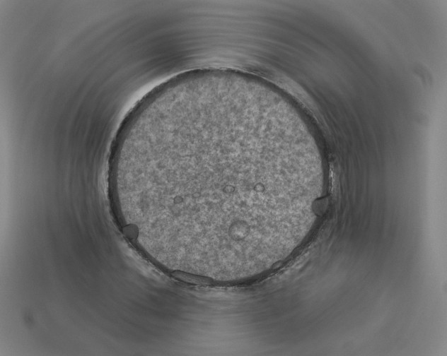 X0000112771020200910011232