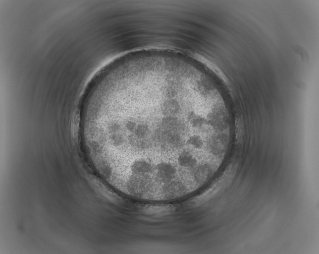 X0000112771021200910011232