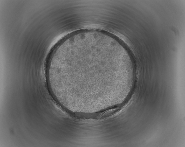 X0000112771022200910011232