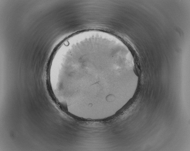 X0000112771024200910011232