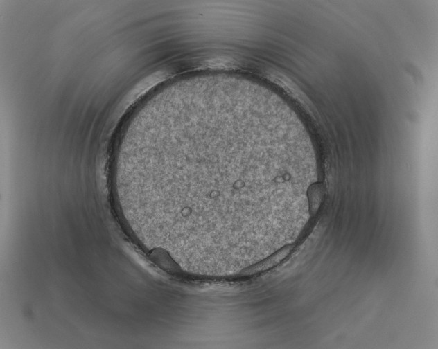 X0000112771026200910011232