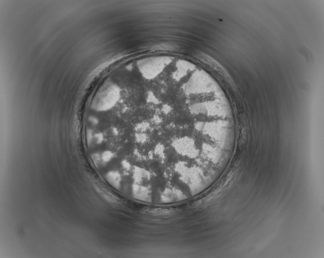 X0000112771027200910011232