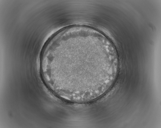 X0000112771032200910011232