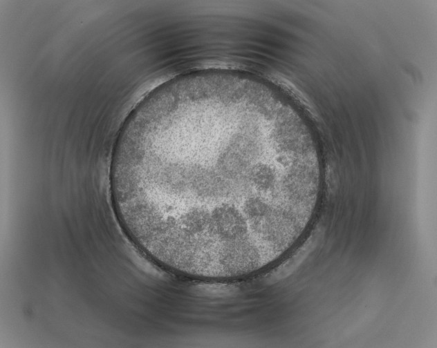 X0000112771033200910011232