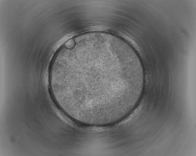 X0000112771034200910011232