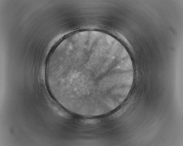 X0000112771035200910011232