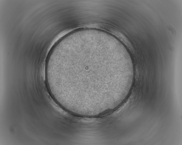 X0000112771036200910011232