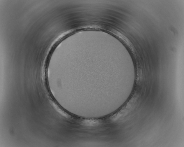 X0000112771037200910011232