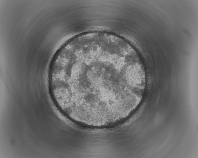 X0000112771038200910011232