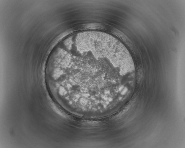 X0000112771039200910011232