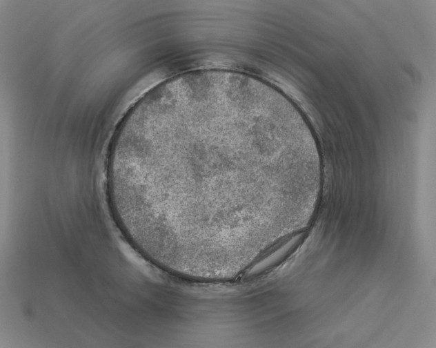 X0000112771042200910011232