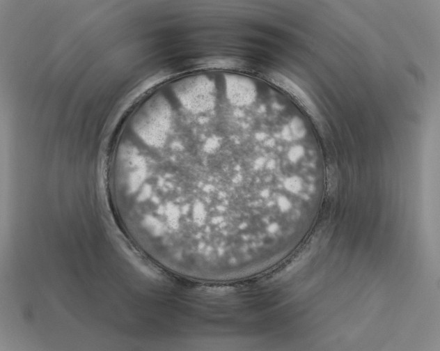 X0000112771043200910011232