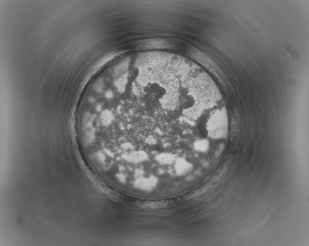 X0000112771047200910011232