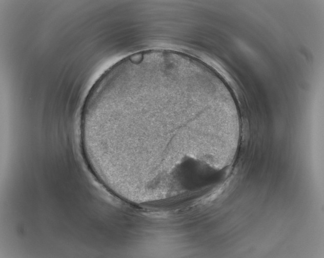 X0000112771048200910011232