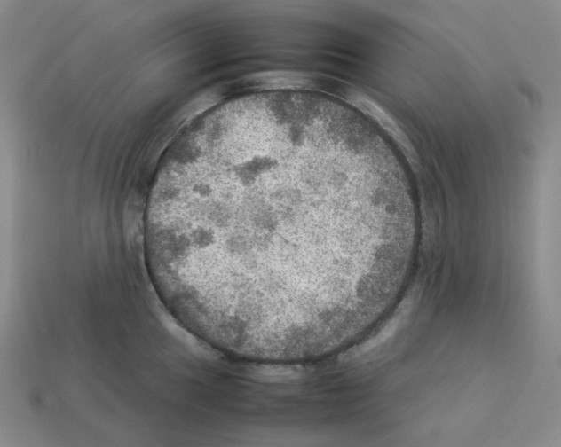 X0000112771049200910011232