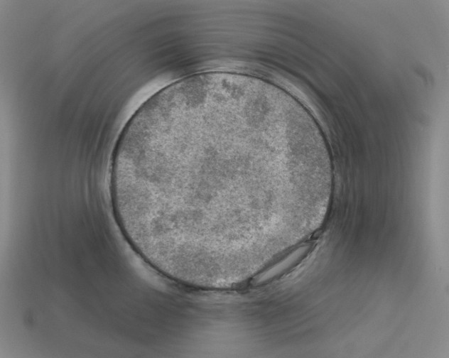 X0000112771050200910011232