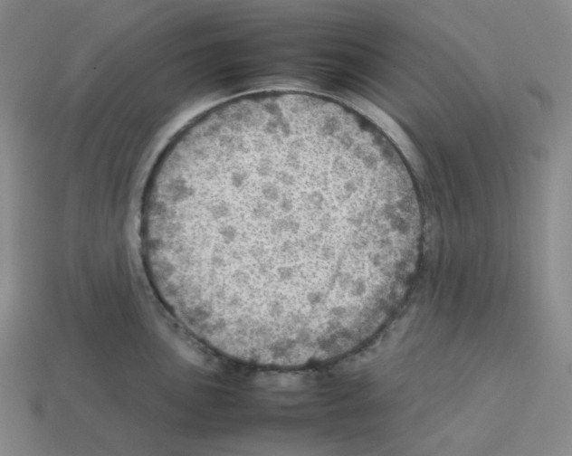 X0000112771051200910011232