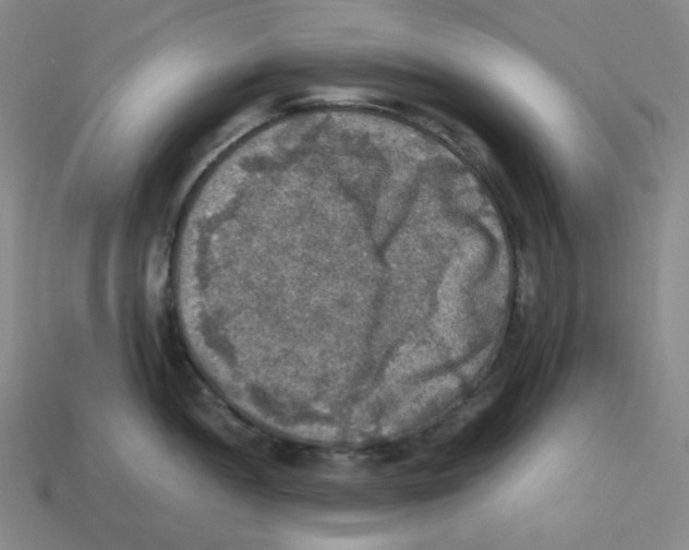 X0000112771052200910011232