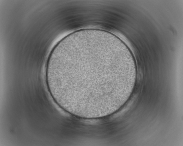 X0000112771053200910011232