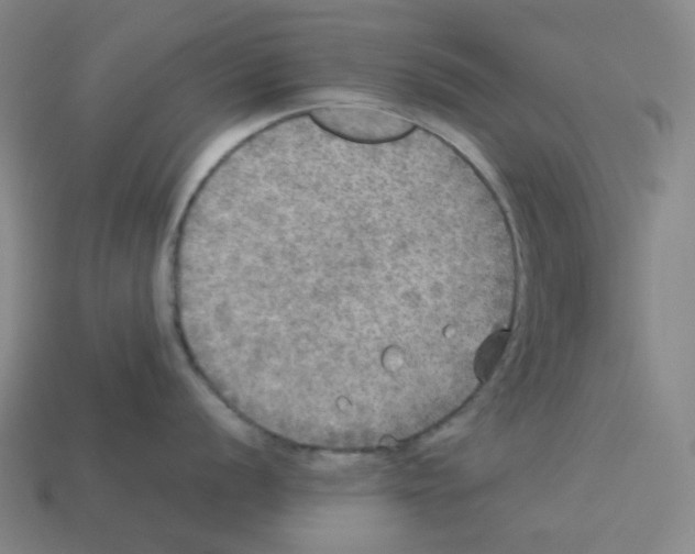 X0000112771056200910011232